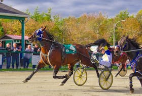 Southwind Ricardo and driver Shawn Lynk rallied in the stretch to nip Johnnie Jack and Greg Sparling in 1:58.1 on Monday afternoon at Northside Downs in North Sydney.  PHOTO/TANYA ROMEO