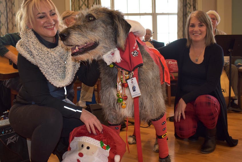 Olaf the therapy dog is pictured with his owner Tracie Breski, left, and Leona Delvecchio during a visit to Harbourstone Enhanced Care on Saturday. The five-year-old Irish wolfhound brought smiles to residents faces during the nursing homes’ Christmas party with many wanting to pet the friendly dog. JEREMY FRASER/CAPE BRETON POST