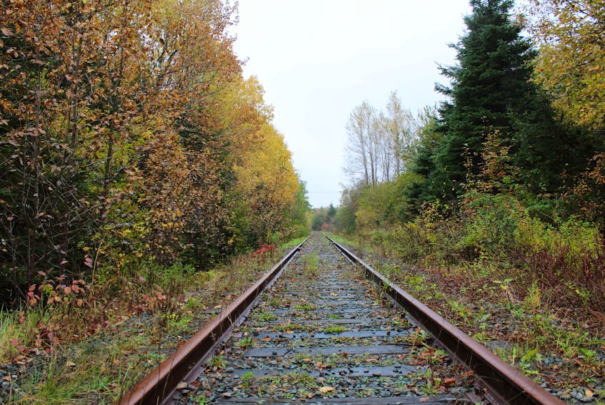 Cape Breton and Central Nova Scotia Railway near Balls Creek.