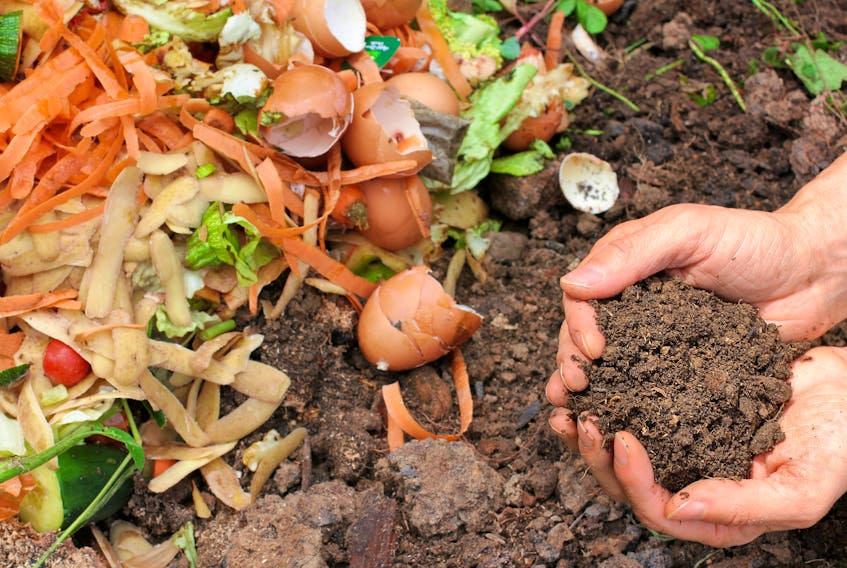 Since compost was banned from landfills in Nova Scotia 20 years ago, the Town of Port Hawkesbury has encouraged residents to practise backyard composting. An NSCC student who studied composting as part of a research project hopes the town will consider a move to curbside collection.