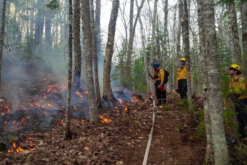 A prescribed burn was tried this week in the Cape Breton Highlands National Park to spur growth of some forest trees. Firefighters are shown on Tuesday near the lower part of the prescribed fire area.