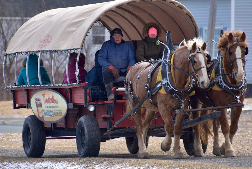 Paul MacDonald, left, and Amber Lynn Barrett drive a wagon full of families around John Bernard Croak Memorial Park in Glace Bay on Sunday. The free wagon rides from Two Rivers Wildlife Park were sponsored by the CBRM as part of its Taste of Winter festivities.