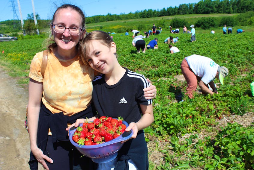 North Sydney mother-and-daughter Vicki Podetz and nine-year-old Zoe were all smiles after picking a bounty of berries. The duo said berry picking is a family tradition that is carried out each year. With their recent haul, the family planned to make a batch of waffles to be topped with strawberries and whipped cream.