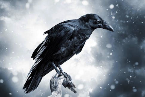 This year’s Christmas column is an original fable about a crow given a wonderful gift one winter’s night long ago.