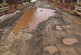 This file photo shows some ducks that made themselves at home in a large puddle recently found on the Orangedale-Iona Road, that is also known as Alba Road. Residents are not happy with the road's condition.