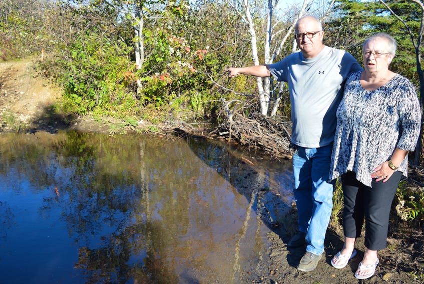 Gervase Miller stands with his wife Maureen as he points to the spot where his son’s body was found in a shallow brook on May 6, 1990 in a wooded area off Park Street in New Waterford, known as ‘The Nest,’ two days after police had raided a party there. The Millers believe their son died while in police custody and his body was placed in the brook. Sharon Montgomery-Dupe/Cape Breton Post