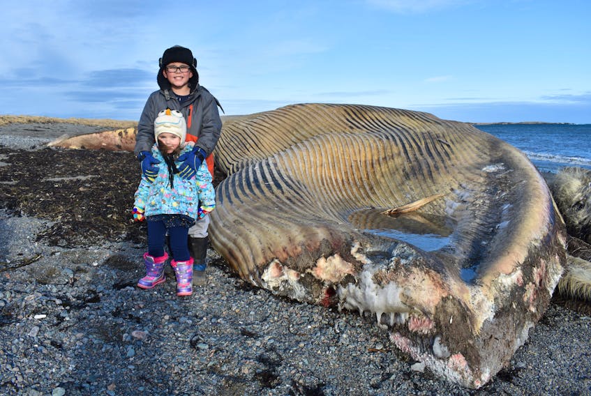 Ajhen Deschamps, 7, of St. Peter’s, and his sister Arielle, 2, stand next to a whale carcass that washed ashore on a beach near St. Esprit, Richmond County.