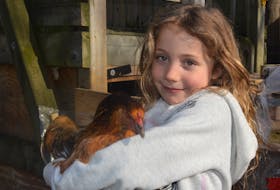 Eva Sobota is shown with one of her family’s chickens in her Sydney backyard. Eggs and education on food production are among the reasons people are placing chickens in backyards around the municipality.