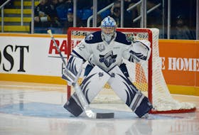No NHL organization has more prospect representation from the QMJHL than the current Stanley Cup champion St. Louis Blues, holding the rights to four QMJHL players, including goaltender Colten Ellis (Rimouski), a River Denys native.
