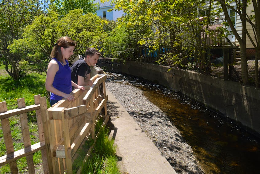 In this file photo, Chelsea O’Neil and Michael Coombes look at the spot where the Wash Brook water levels rose above the barrier and into the couple’s yard and basement during the Thanksgiving Day flood in 2016.