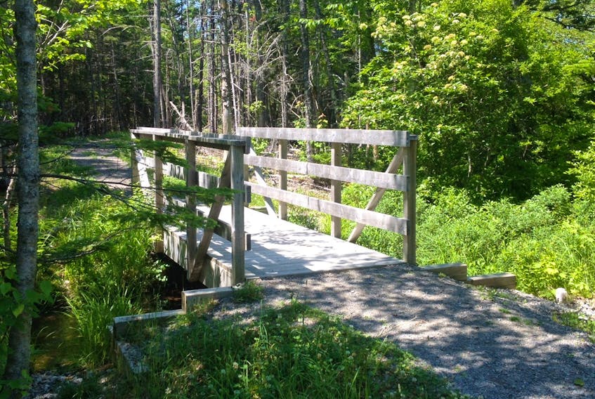 This quaint little foot bridge straddles a small stream on the trail at Dalem Lake.
