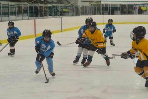 This file photo shows a game between the New Waterford Sharks playing a game against the Glace Bay Miners last year.