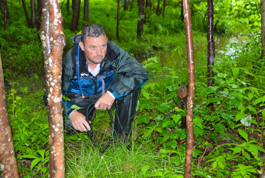 Mike Chapman, of Annapolis Valley, a missing pet recovery technician, waits patiently in a wooded area in River Ryan on Tuesday afternoon, after spotting the missing Kansas chow chow "Lucky" earlier. Chapman has been in the area several days trying to locate Lucky, missing in the River Ryan area since July 15. Chapman said it’s important people don’t follow the dog, chase him or call out his name but to phone him at 1-902-309-1110 immediately if seeing the dog.