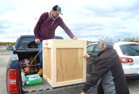 Jeff McNeil, left, and Stan Peach of the Port Morien Wildlife Association secure a wooden crate holding the carcass of a bald eagle provided by the Nova Scotia Department of Lands and Forestry. The association will use the eagle carcass to educate the public on the dangers of lead ammunition and tackle as well as Mi’kmaq culture and beliefs. The carcass will be blessed during a ceremony Friday at 11 a.m. in Membertou.
