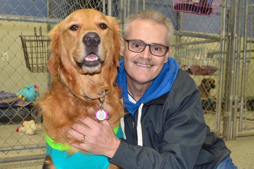 Donnie Donovan of Glace Bay shares an affectionate moment with Lainey, a two-year old golden retriever owned by his neighbours. Kaitlyn Eagles and Gerald Sudworth of Glace Bay, while stopping to visit the dog enjoying playtime at AJ’s Country Boarding and Daycare on Long Beach Road in Port Morien. Donovan said there’s no question Lainey saved his life after the dog recently exhibited unusual behaviour that brought attention to Donovan when he fell unconscious in his yard after suffering a heart attack.
