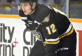 Connor Trenholm of the Cape Breton Eagles is playing in his rookie season in the Quebec Major Junior Hockey League. The Cole Harbour native has five assists in 42 games and is on the verge of scoring his first career major junior goal.