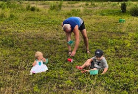 Abbigale Marsh, from left, Dave Gillan and Owen Reid are seen in the fields of Marsh’s Blueberry U-pick in Point Aconi on Wednesday.