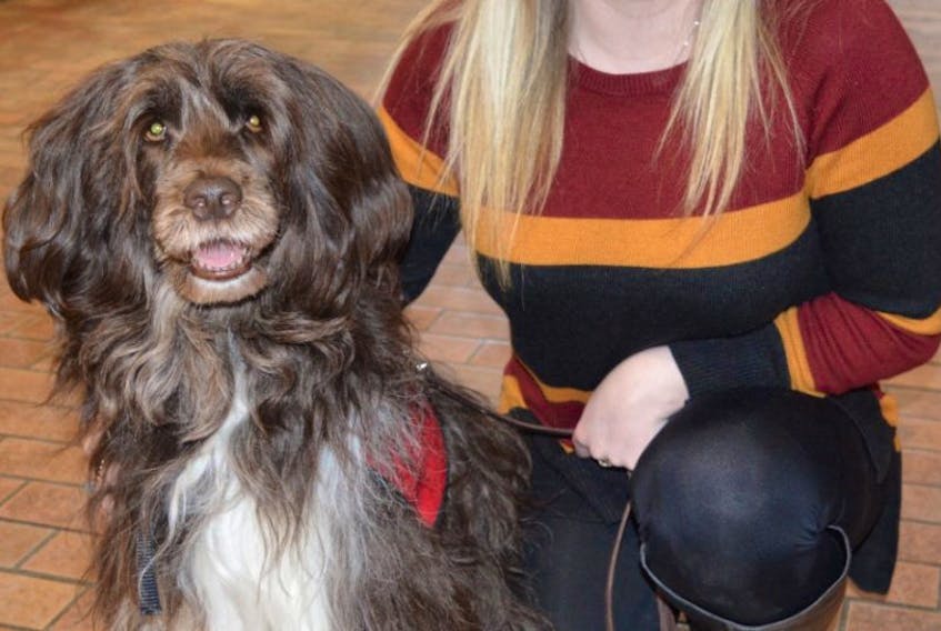 NSCC therapeutic recreation student Chloe Baldwin meets with Hershey, a Portuguese water dog, who, along with other dogs was at NSCC to offer some stress relief to students as they work toward finishing their year.