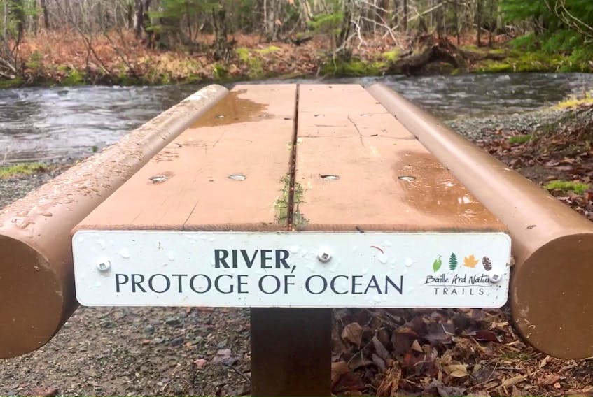 A bench at the Baille Ard Trail in Sydney has a plate that say “River, protégé (sic) of the ocean.” The group Save the Baille Ard Forest is hosting a community walk to show support for the trail on Saturday as well as to update people on their efforts to protect the four-kilometre trail system and surrounding 70 acres of woods.