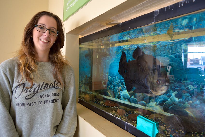 Christine MacDonald, co-ordinator of ACAP’s Trashformers program, poses with Fang, the Pacu fish found swimming in the tank at ACAP Cape Breton in Sydney for about 12 years. Fang has outgrown his tank and will be moved to a new location on Friday.