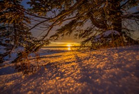 In this scene, a winter sunrise in Port Morien, I used the sparkling snow for foreground interests and framed the sun rising with the overhanging balsam fir. f11 1/160s ISO 100 @ 15mm. Contributed/kristynski.ca or info@kristynski.ca