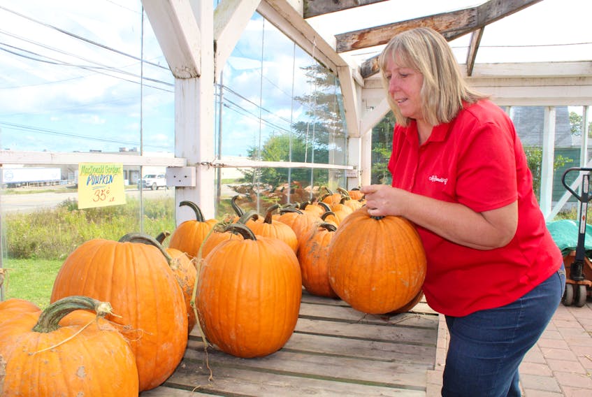 Nothing says autumn like fresh pumpkins which have showed up in grocery story and farm market displays in recent days. A nice display of the freshly grown indicators of fall are shown being set up by Cheryl Mackie at MacDonald Farms on Grand Lake Road.