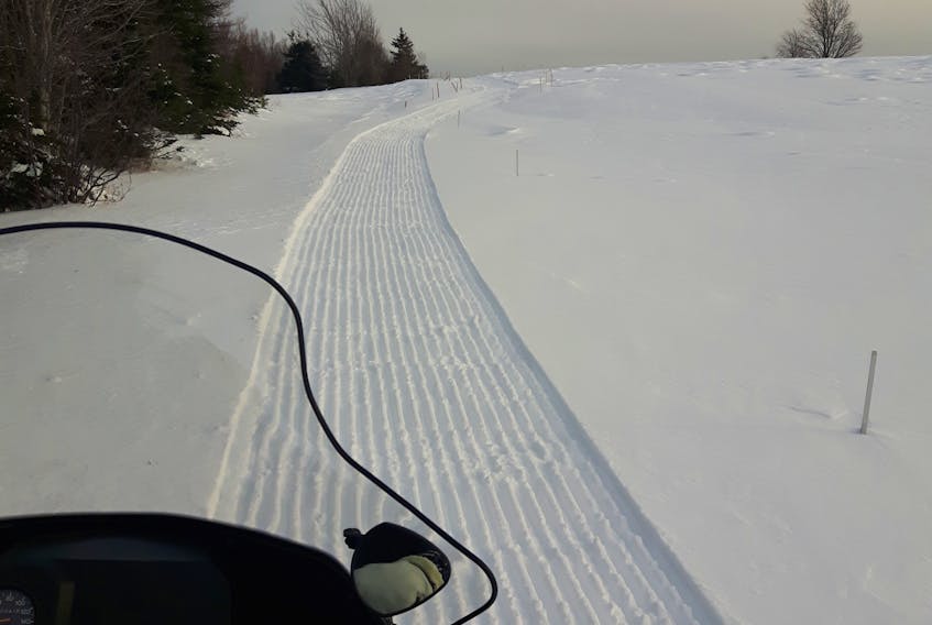 Some of the groomed trails for cross-country skiing at Seaview Golf & Country Club in North Sydney.