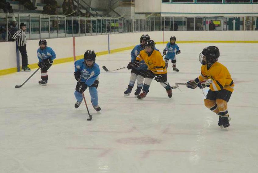 In this file photo, the New Waterford Sharks and Glace Bay Miners play a novice game at the New Waterford and District Community Centre on Jan. 27.