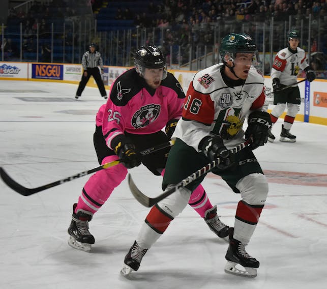 In this file photo, Egor Sokolov of the Cape Breton Screaming Eagles, left, chases Jake Ryczek of the Halifax Mooseheads during the team’s annual Pink at the Rink game on Oct. 26 at Centre 200 in Sydney. Cape Breton and Halifax have been rivals in the Quebec Major Junior Hockey League since 1997. If all goes well, you will soon be able to sport either team’s logo on your licence plate pretty soon.