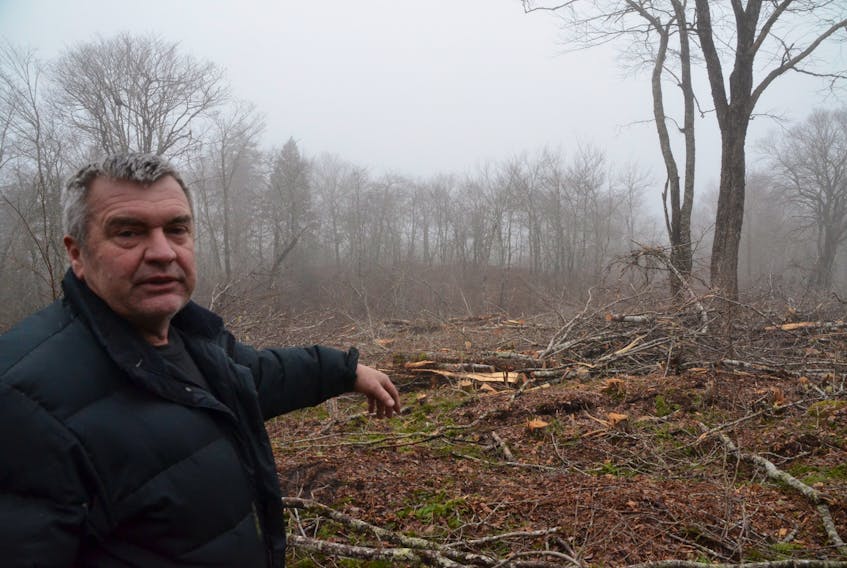 Guysborough County harvester Danny George shows where Port Hawkesbury Paper had partially cut old growth hardwood stands. Lumber harvests in Guysborough County near Loon Lake have been cancelled after it was discovered some old growth tree stands have been cut, and more still were slated for processing.