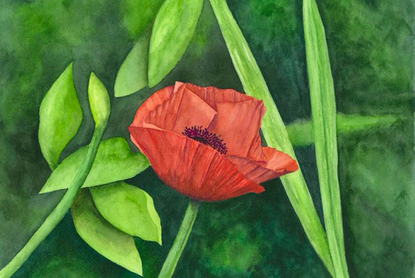 A singular poppy is a work by David MaAskill, the featured artist at Pierscape 2019.