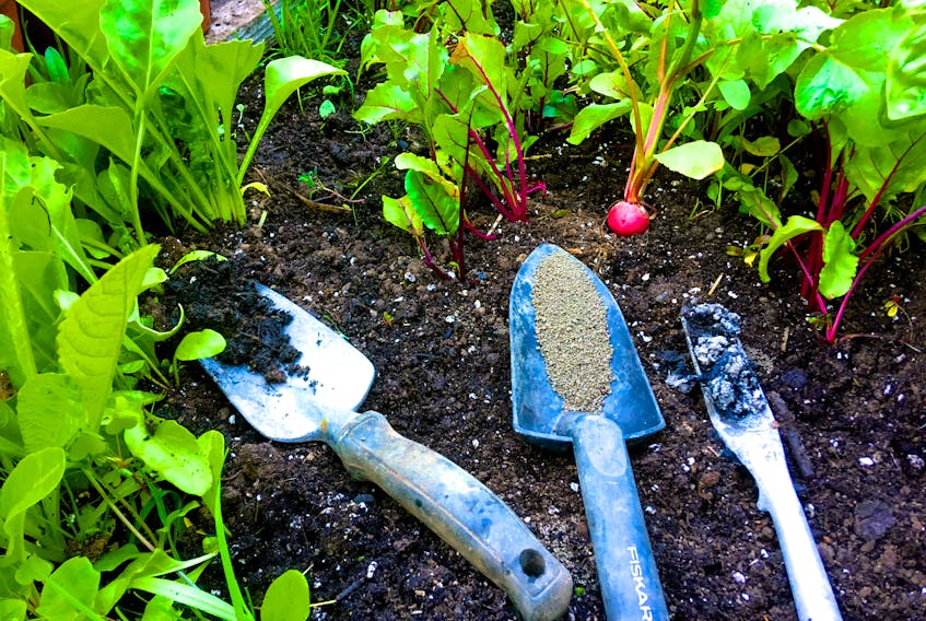 Nitrogen-rich manure for swiss chard, phosphorus-rich bone meal for beets and radishes and potassium-rich wood ash in small doses for just about everything will help your garden to grow.