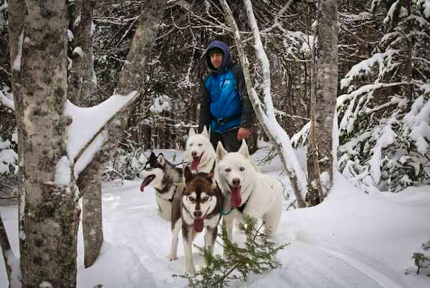 These friendly looking fellows are part of James Chadwick’s Oban Wilderness Dog Sledding which offers dog sledding tours in Richmond County.
