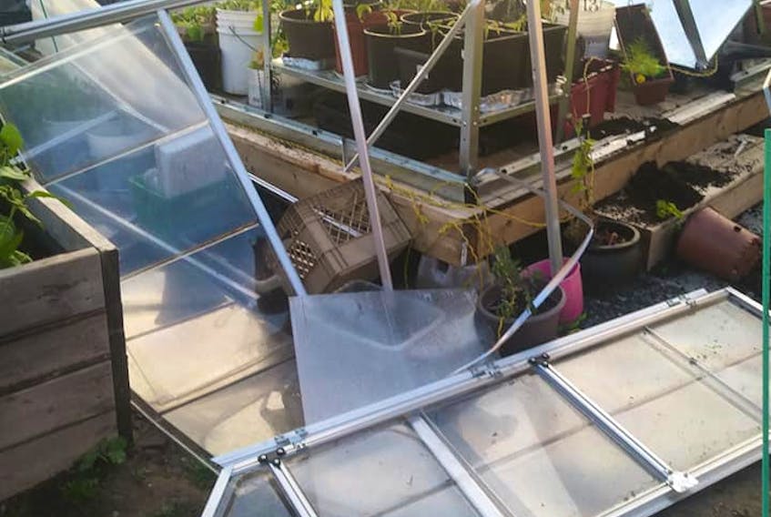 The greenhouse in the community garden at the Glace Bay Food Bank wasn't able to withstand hurricane Dorian's strong winds. Garden co-ordinator Kimberly MacPherson took this photo of the destruction the day after the storm. CONTRIBUTED/GLACE BAY FOOD BANK FACEBOOK