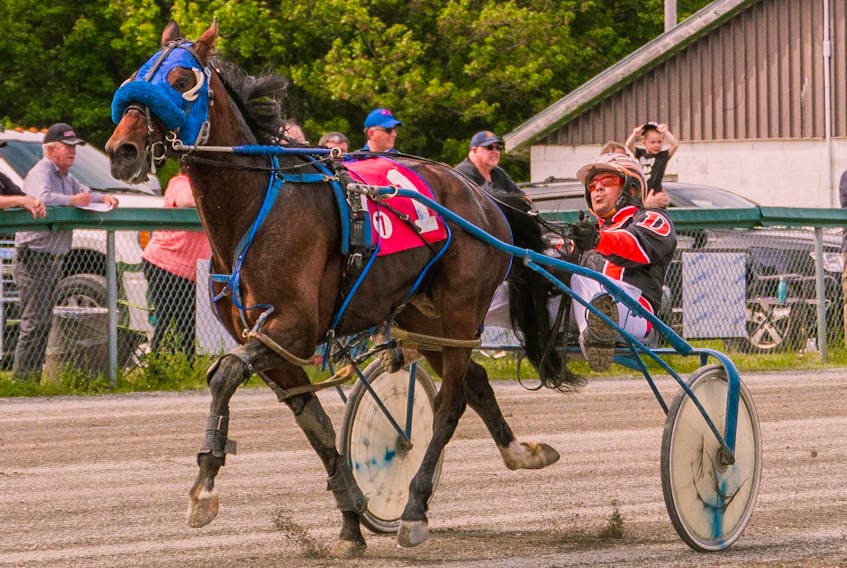 Driver Redmond Doucet made the winning circle three times on Saturday including his victory with Accelerator, above, in the featured Lambert Todd Day Pace at Northside Downs in North Sydney. Doucet drove Accelerator to the day’s fastest time of 1:58.3. – Tanya Romeo Photo