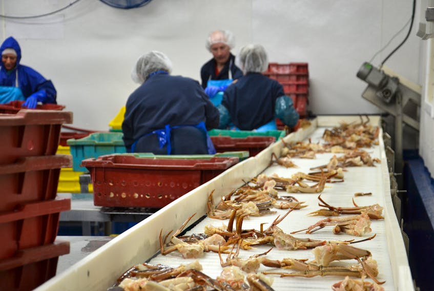 While Louisbourg Seafoods Ltd. has been making plans for years to diversify its export market outside the U.S., the company still sells about 80 per cent of its product to our American neighbours. Dannie Hansen, Louisbourg Seafoods vice-president of sustainability, says the ongoing renegotiation of the North American Free Trade Agreement is no reason to fret over the long-term economic health of the industry.