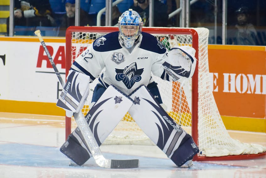 Colten Ellis of the Rimouski Océanic prepares for a shot during a Quebec Major Junior Hockey League game against the Cape Breton Screaming Eagles at Centre 200 on Oct. 18, 2018. The River Denys netminder will face the Screaming Eagles in Round 2 of the Quebec Major Junior Hockey League playoffs, beginning Friday in Rimouski, Que.