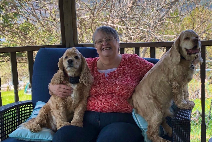 Deb MacIntosh with Angus and Fiona is one of the administrators of a Facebook group devoted to reuniting lost pets with their owners in Cape Breton. Truly a dog lover, she shares her home with eight cocker spaniels ranging in age from two to 10 years old and sporting all the colours.