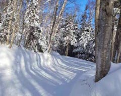 One of the trails at North Highlands Nordic in Cape North.