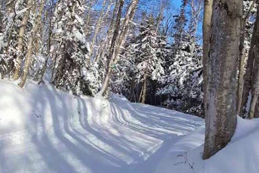 One of the trails at North Highlands Nordic in Cape North.
