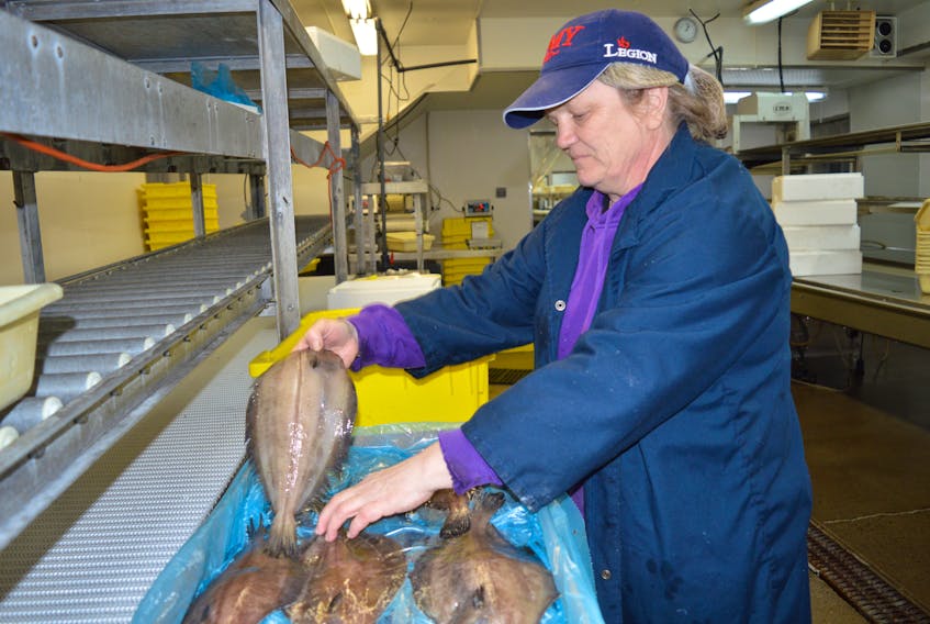Tanya MacDonald, production supervisor at Ka’Le Bay Seafoods, packs up grey sole at the fish plant in Glace Bay in this May 2016 file photo. Louisbourg Seafoods Ltd. approves of the proposed changes where rules on conservation and protection of marine species are being reintroduced to the Fisheries Act.