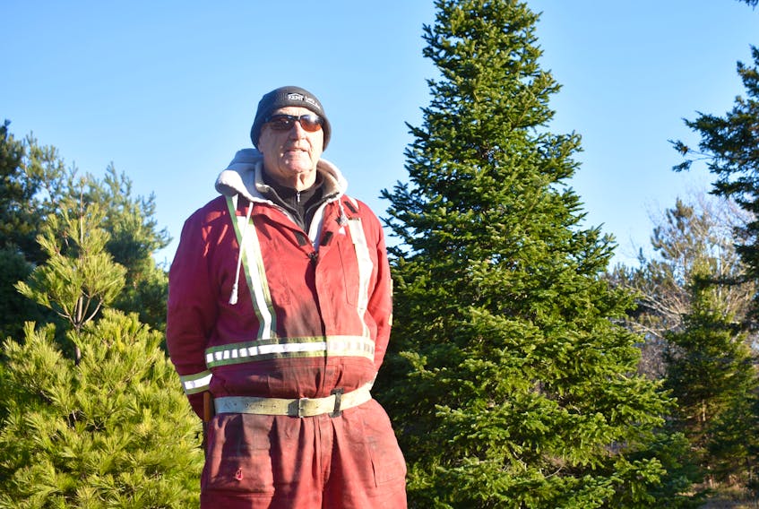 Les Elworthy, the owner of Elworthy's Nature In Bloom Greenhouse and Tree Farm, stands next to a Christmas tree on the business lot on Mira Road.