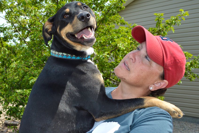 Jennifer MacDonald, owner of AJ’s Country Boarding and Kennels in Port Morien, cuddles Stanley, a Rottweiler mix who attends the doggie daycare on Thursdays. Jennifer said Stanley prefers to be carried everywhere he goes.