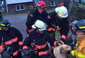 Members of the Scotchtown Volunteer Fire Department have a proud celebration with Toby, a dog owned by Jimmy Rankin of Scotchtown, far right, after rescuing the dog found stuck in a culvert on King Street, Wednesday evening. In front from the left, Gerry MacGibbon, firefighter, Jennifer MacKinnon, deputy fire chief, and Benita MacAulay, firefighter. In back fire, Charlie Starzyczny, Captain, Raymond Eksal, fire chief.