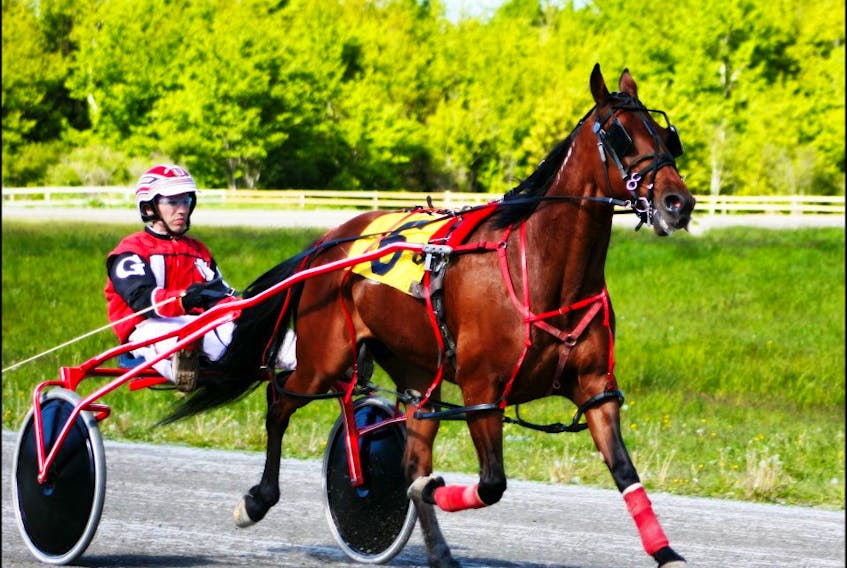 Randy Getto is shown at the reins of Surrealist during a race at Northside Downs during the 2016 racing season.