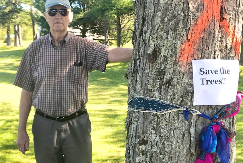 Sandy MacLeod is protesting the Department of Transportation’s plan to cut five 100-year-old maple trees bordering his Middle River property. A bike lane is being built through the Cabot Trail community.