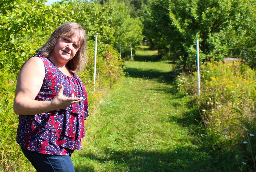 Jen Holtom gives a tour of Scotch Lake Farms, down a path that leads to pear trees and an open picnic area, used for events. There are also spots for people to tent if they don’t want to drive after an event where they were drinking mead, which has an alcohol content of 12 per cent. The property is also available for tours, with advance notice.