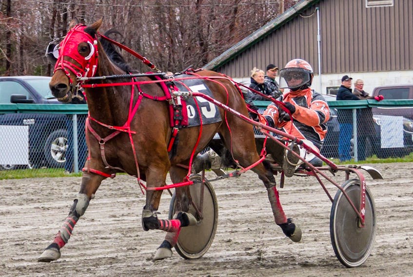 Waterside Lucky, shown with driver Carey Romeo in the sulky, captured the opening race of the 2019 harness racing season at Northside Downs in North Sydney on Saturday.