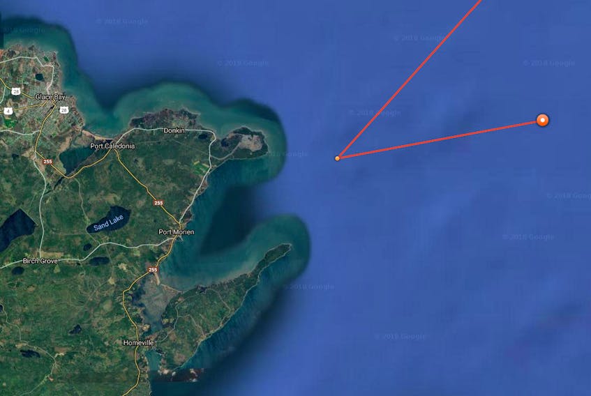 Satellite tracking by the Ocearch research team noted that Hilton the Shark had surfaced twice off of Cape Breton early Wednesday morning. The first sighting was just a few kilometres off Donkin and Port Morien. The second was a bit farther out to sea.