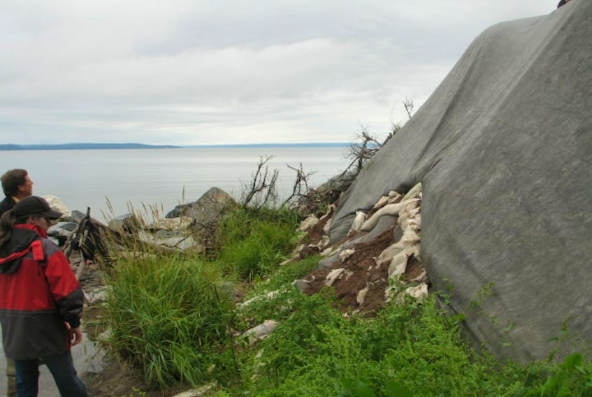 Heather MacLeod-Leslie is shown taking part in temporary erosion-control efforts on the shores of the Bras d’Or Lake in 2009.